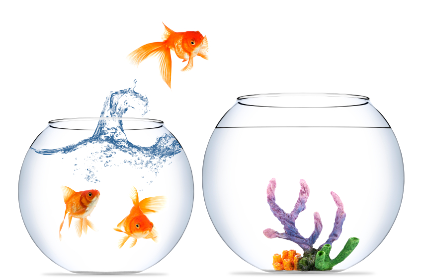 Photo Manipulation Services 