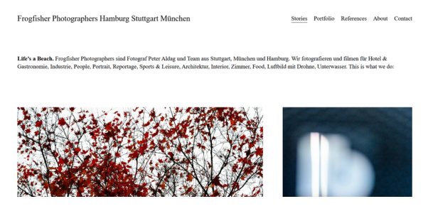 Frogfisher Media – Cinematic Real Estate & Drone Visuals